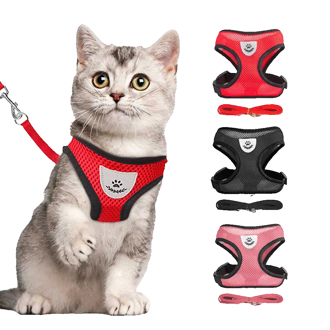 Cat Full Body Vest Harness and Leash