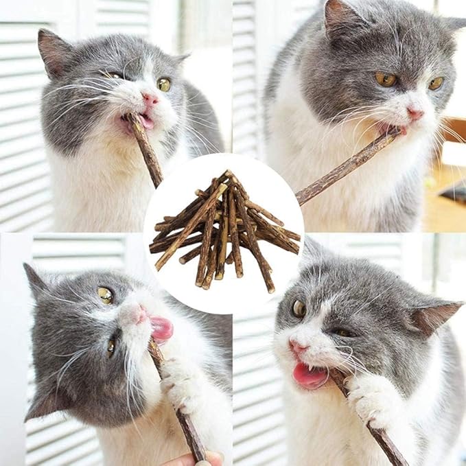 Bioline Teeth Cleaning Catnip Dental Sticks 10g (5 Pieces)