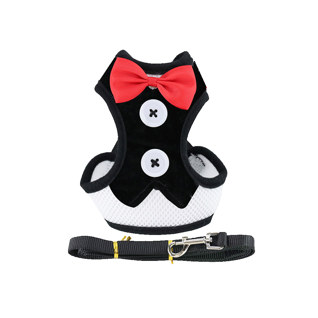 Stylish Bow Tie Harness