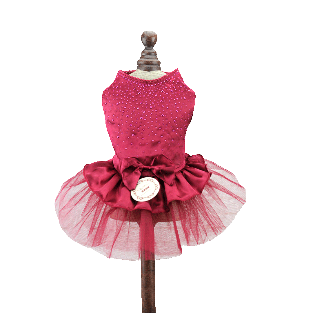 Sophisticated Party Dress for Cat