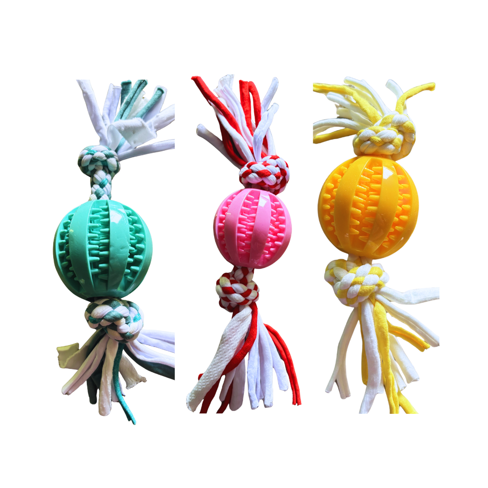 Interactive Chewing Rope & Ball Dog Exercise Toy