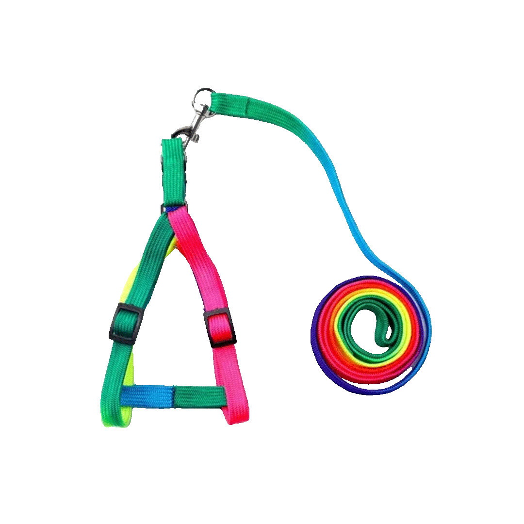 Long Handle Harness for Cats & Puppies