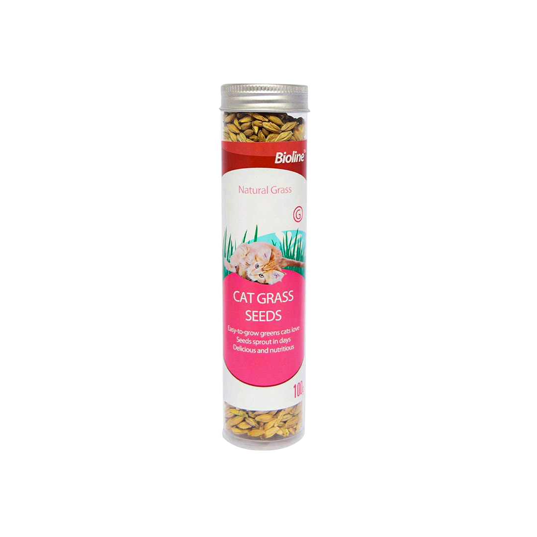 Bioline Cat Grass Seeds 100g