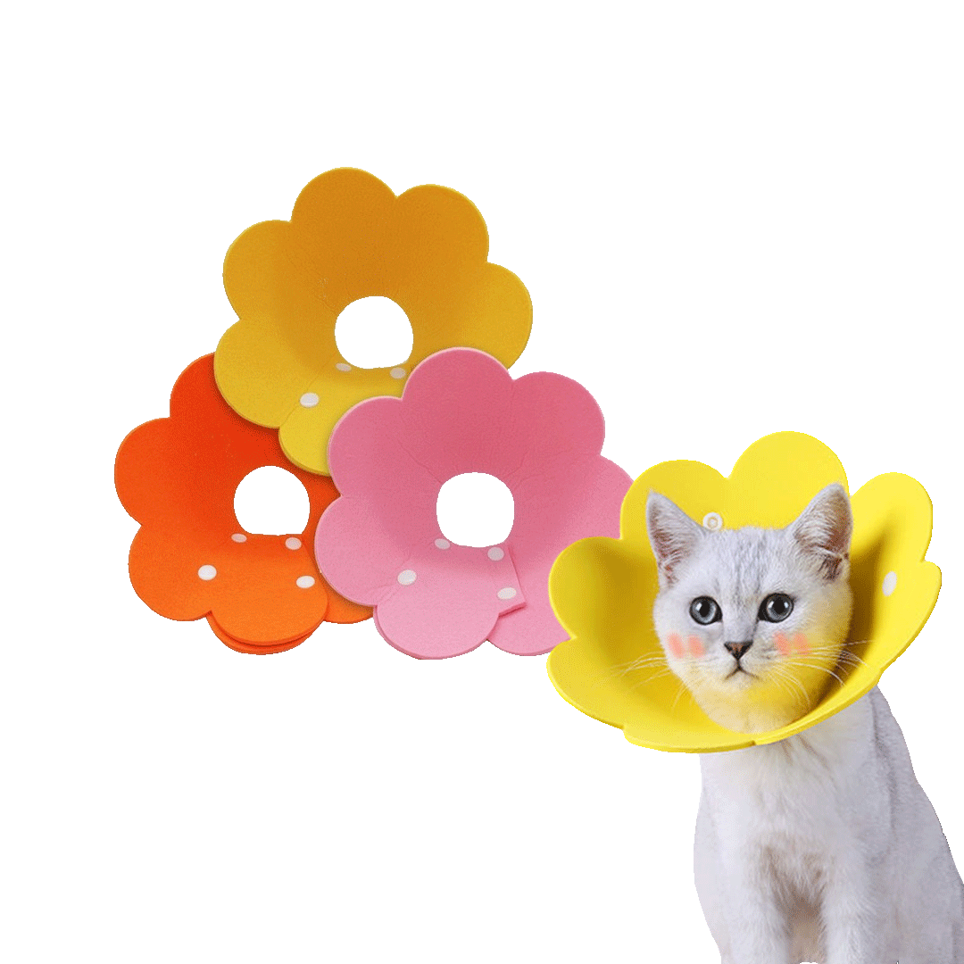 Flower Operation Collar for Pet