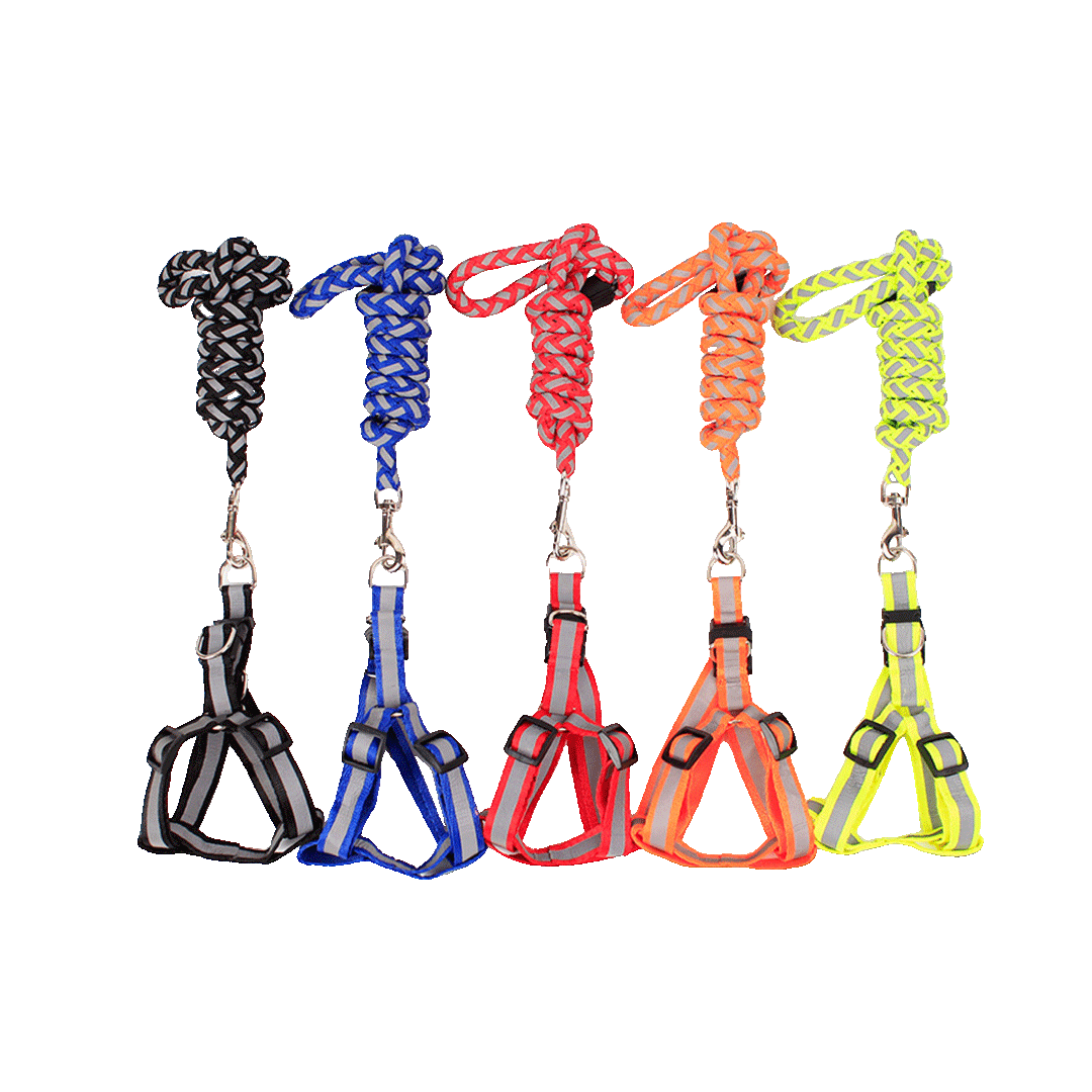 Reflective Dog Leash Harness Durable and Comfortable