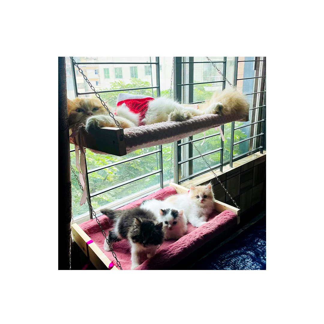 Pet Hammock Bed with Cushion