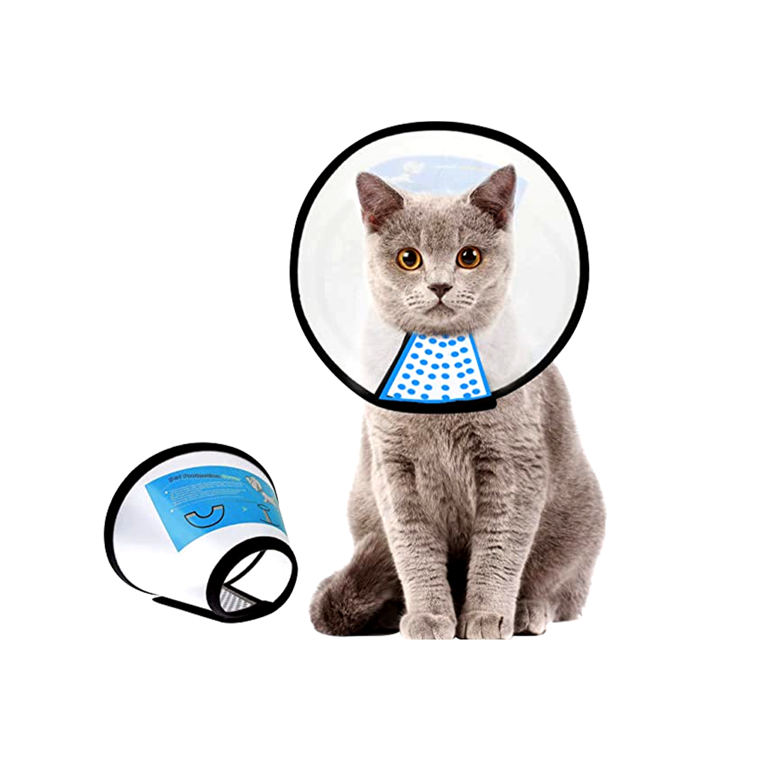 Operation Collar for Pet