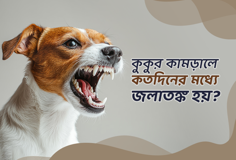 Ayollar ustida porno tajribalar Eshakdagi sperma porno rasmlar