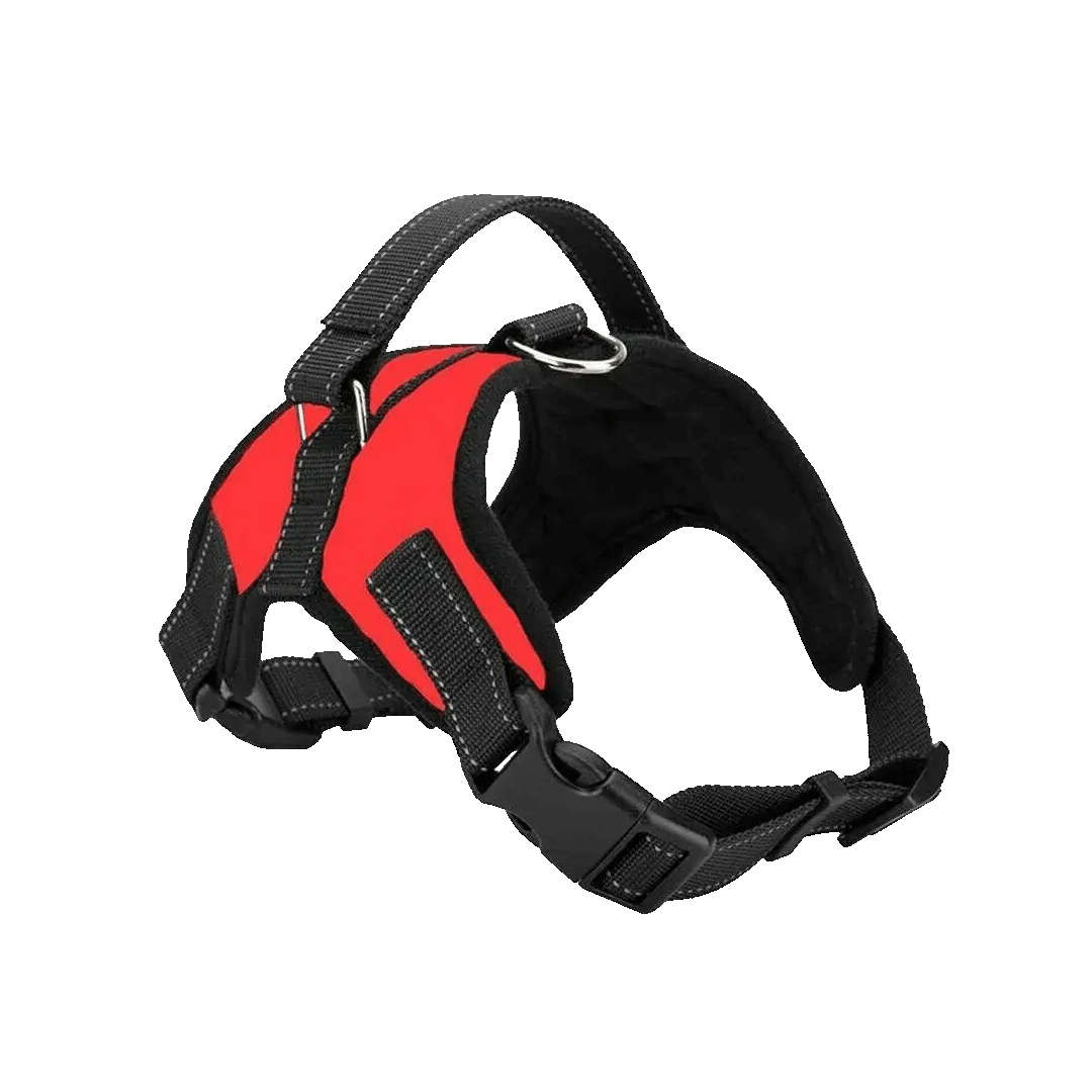 Premium Stylish Adjustable Dog Belt