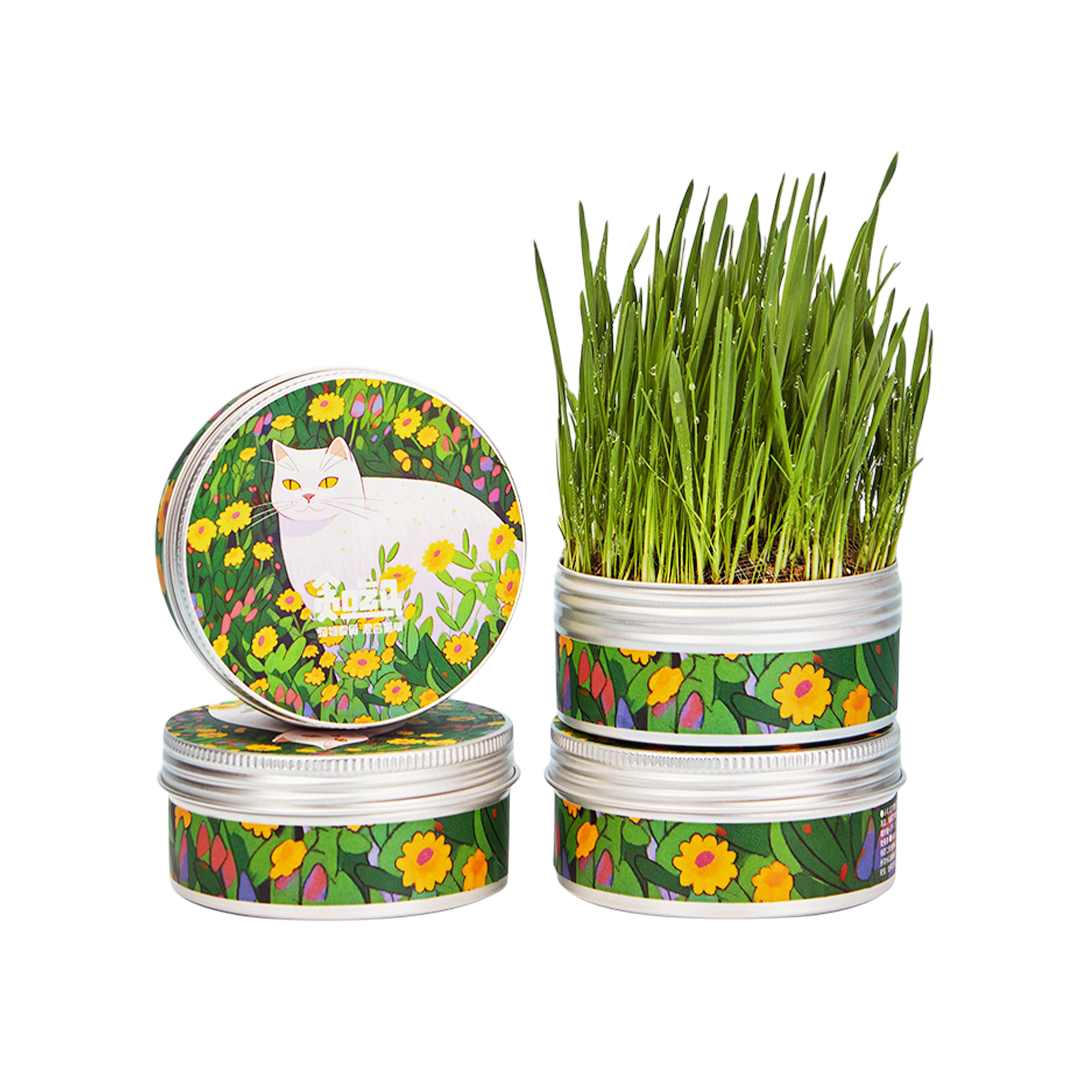 Premium Catnip Mixed Canned Cat Grass Kit