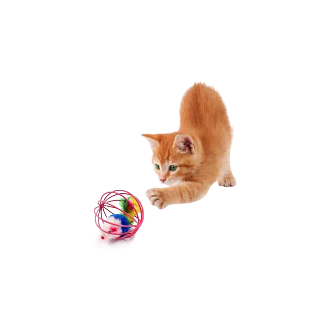 Cat Cages Mouse Ball Toy